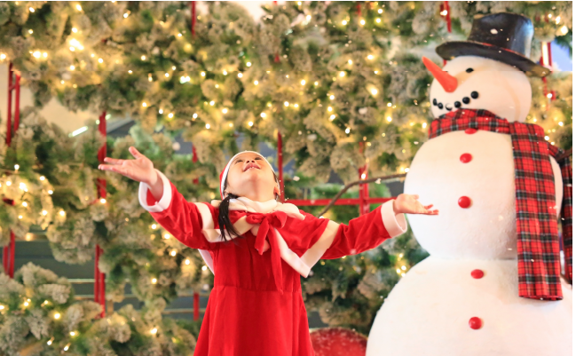 Programme de Noël 2024 Mistral 7 Avignon